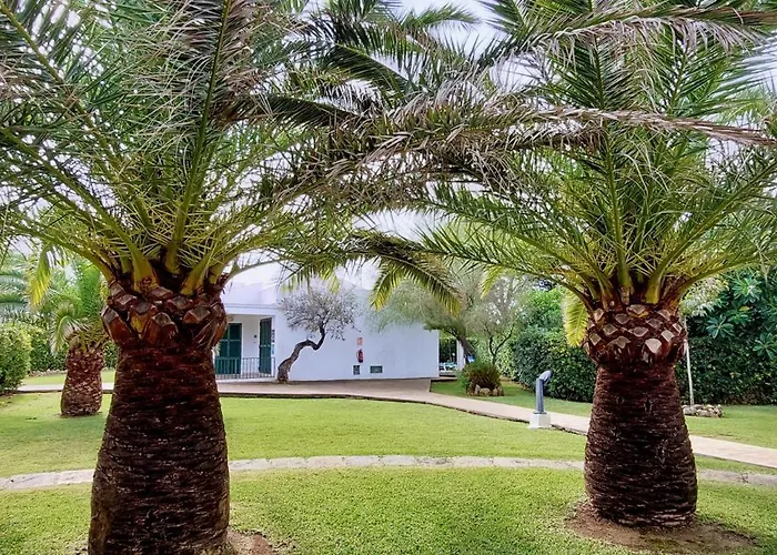 Golondrinas - Tramuntana קאלאן בוש