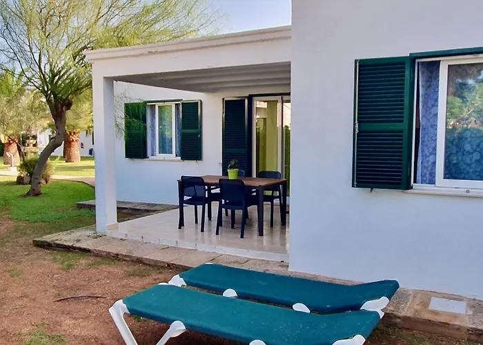 Golondrinas - Tramuntana