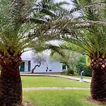 Golondrinas - Tramuntana Cala'N Bosch (Menorca)