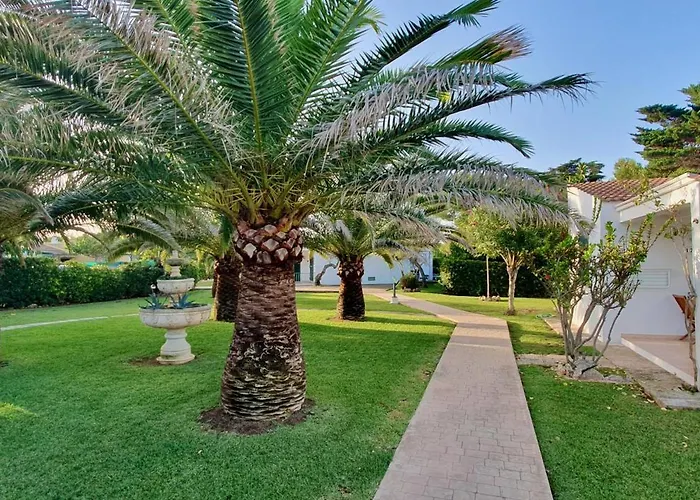 Golondrinas - Tramuntana * Калан-Бош